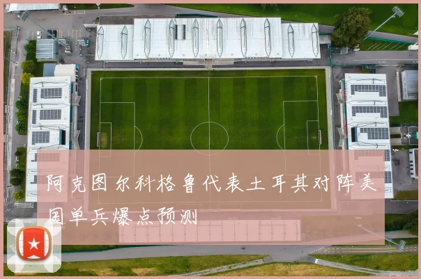 阿克图尔科格鲁代表土耳其对阵美国单兵爆点预测