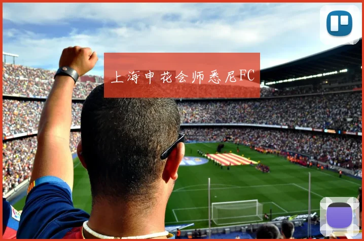 上海申花会师悉尼FC