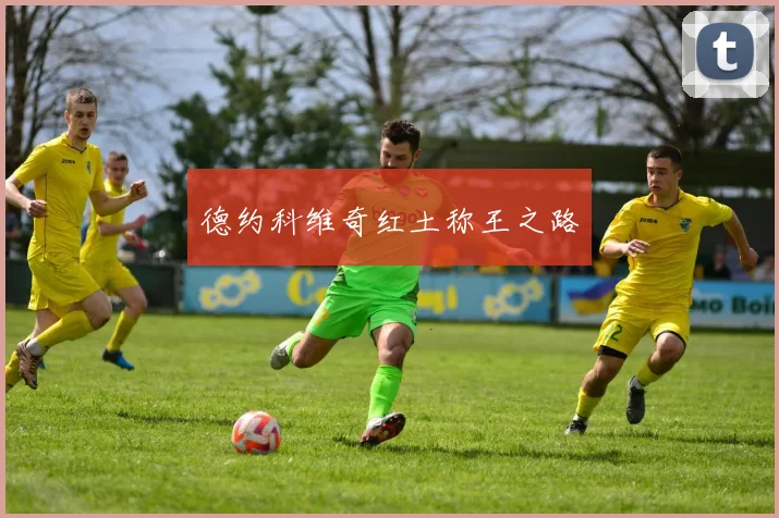 德约科维奇红土称王之路