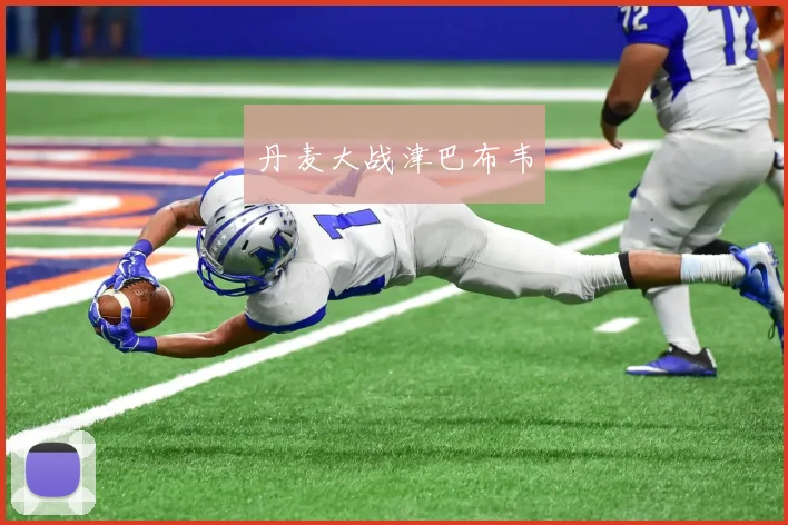 丹麦大战津巴布韦