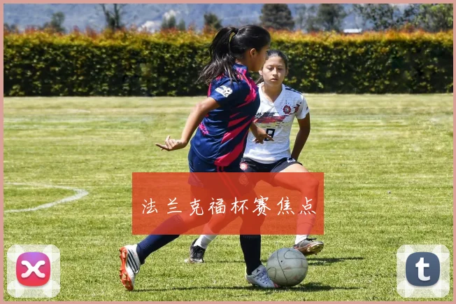 法兰克福杯赛焦点