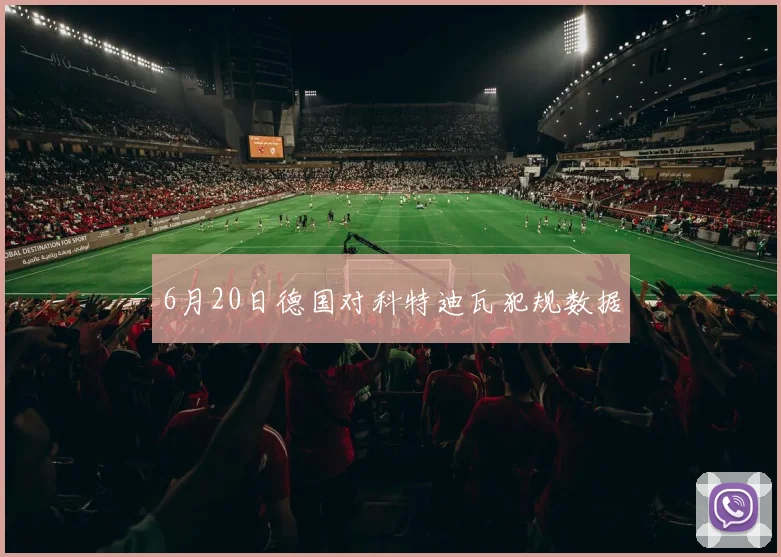 6月20日德国对科特迪瓦犯规数据